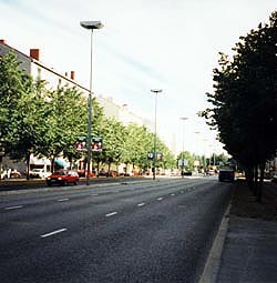 Puistotie